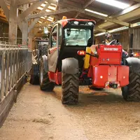Chargeur télescopique Manitou dans un batiment d'élevage.