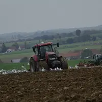 Tracteur Case IH au labour.