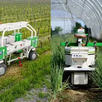 Robots Ted et Oz de Naïo technologies