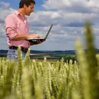Un agriculteur sur son ordinateur portable dans un champo de blé.