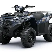 Quad Kawasaki Brute Force 450
