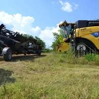 Moissonneuse batteuse New Holland en train d'ateler la barre de coupe.