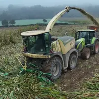 Ensileuse Krone Big X récoltant du maïs couché