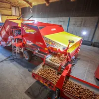 Séparateur à rouleaux Grimme MultiSep derrière trémie de réception RH 24