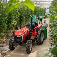 Tracteurs compacts Massey Ferguson MF 2E.55