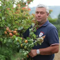 Gilbert Chavas préside le comité stratégique régional fruits.