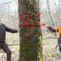 Xavier de Montlaur (à gauche), propriétaire forestier sur les communes de Jaligny-sur-Besbre, Thionne et Treteau et Philippe Veyret,  gestionnaire for