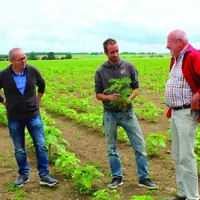 Bruno Morand (FNSEA 03), Jean-Loup Chatard (agriculteur, EARL de Lunelle) et Philippe Lecompte (Président du Réseau Biodiversité pour les Abeilles) ob