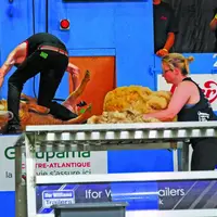 Éliminatoires tri de laines senior et open.