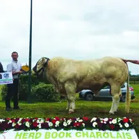 Pandor, 1er prix au national du Marault, 2021.