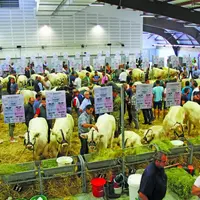 Une présentation des animaux a été effectuée en intérieur et en extérieur.