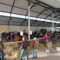 Avec de nombreuses prises de contacts, les ventes ont été au rendez-vous en ce samedi après-midi.