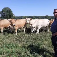 Bœufs en début d’engraissement en septembre dans une prairie de trèfle & fétuque élevée et 1.2Kg de méteil + 0.3 Kg d’épeautre /jour.