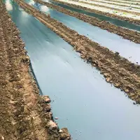 Sous forme de granulés, et mélangé au PLA, l’additif produit par Carbiolice permettra aux emballages et autres films de paillage de se biodégrader aus