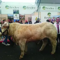 Dernière acquisition de la coopérative Feder, après sa présence au Sommet de l’Élevage à Cournon, Renouveau sera présent sur le site où des doses de s