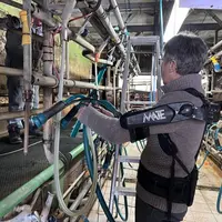L’exosquelette doit être adapté à la morphologie du trayeur et la salle de traite assez large pour ne pas encombrer le mouvement.