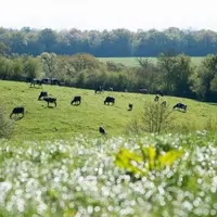 Oxyane a répondu à l’appel à projet de l’ADEME pour être structure partenaire sur la réalisation de diagnostics carbone chez les agriculteurs récemmen