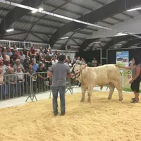 Salle comble. Quelque 500 personnes étaient présentes au Parc des Expositions de Moulins, parmi lesquelles de nombreux acheteurs potentiels venus de t