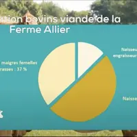 Cerfrance terre d’Allier lance sa chaîne Youtube Fermoscopie et présente un bilan, filière par filière :
https://www.youtube.com/watch?v=jHnPDK64mUE
