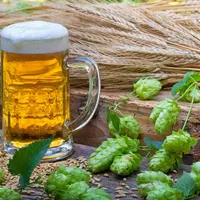 Orge, houblon, eau et levure, il n'en faut pas plus pour faire une bonne bière (l'abus d'alcool est dangereux pour la santé.)