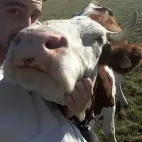 Maxime Delort, jeune éleveur dans le Cantal : « Notre métier, c’est aussi la fierté de travailler et de partager son quotidien avec des bêtes qui save