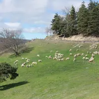 « Notre élevage a su s’adapter aux exigences des marchés, tout en conservant son image de valorisation des territoires difficiles » Claude Font Secrét
