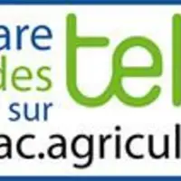 La télédéclaration des aides aux bovins doit être effectuée sous TéléPAC avant le 15 mai 2020, à l'adresse suivante : www.telepac.agriculture.gouv.fr