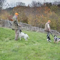 La région Auvergne-Rhône-Alpes compte, en tout, plus de 120 000 chasseurs et près de 2 500 associations locales de chasse.