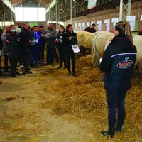 Des éleveurs attentifs lors de la présentation des animaux lors de la vente.
