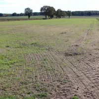 Les prairies resemées à l'été ont eu beaucoup de mal à sortir, inquiétant sérieusement les éleveurs, même les plus organisés.