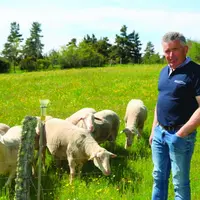 Dominique Pauc auprès d'une partie de son troupeau.