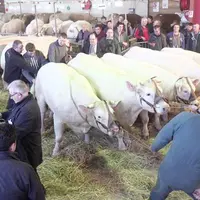 La Foire Concours en 2020.