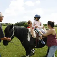 La prise en charge par l’intermédiaire du cheval peut venir en aide aux personnes souffrant de troubles multiples.