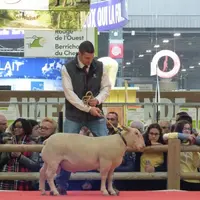 Julien Boutonnat avait remporté le 1er prix trophée viande en 2019.
