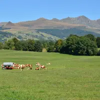 La FRSEA Massif central milite pour un soutien renforcé aux zones défavorisées et de montagne.