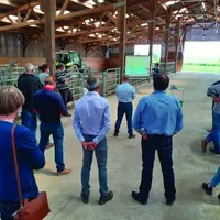 Présentation des résultats technico-économiques naisseur engraisseur de boeufs à Target.