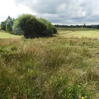 L’exploitation des prairies humides demande une adaptation au cas par cas suivant l’année.