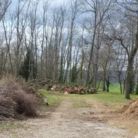 600 000 propriétaires se partagent 80 % de la forêt régionale.