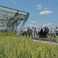 Les membres du Gnis devant le dispositif Phéno3C à l’Inra de Crouël (63), où sont étudiés les comportements de différentes variétés de blé, face à des