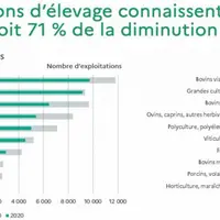 En Auvergne-Rhône-Alpes, l’élevage concentre à lui seul 71 % de la baisse du nombre d’exploitations sur la dernière décennie.