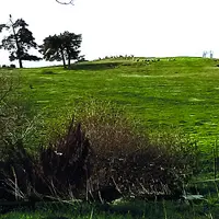 Une cinquantaine de vautours repérés le 27 avril aux limites des communes de Mazoires et Apchat.