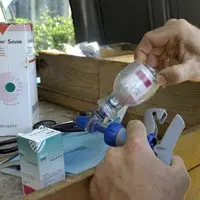 Face à la progression de la maladie, il est fortement conseillé aux éleveurs bovins, ovins et caprins de vacciner les animaux et de veiller à leur bon