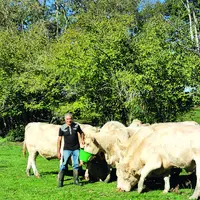 Co-président du concours, Jean-Claude Faure est éleveur de charolaises au sein du GAEC des Deux villages et conseiller municipal de la commune.