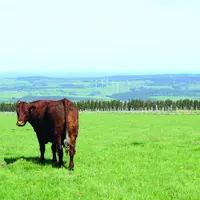 La pression foncière n'a de cesse de s'accroître dans le Puy-de-Dôme entre agriculture, loisirs, habitats et énergies renouvelables.
