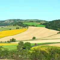 La nouvelle programmation FEADER 2023-2027 en Auvergne Rhône-Alpes met l'accent sur l'installation et les investissements agricoles.