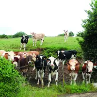 Les producteurs de lait attendent des revalorisations importantes du prix du lait.