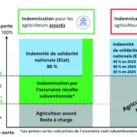 Schéma du dispositif réformé