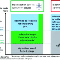 Schéma des "3 étages" du nouveau dispositif assurance récolte.