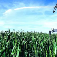 Entre hausse des prix de l'énergie et baisse des cours des céréales, l'irrigation devrait peser plus lourd cette année dans les charges de production.