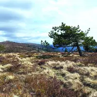 Le prochain Plan Pastoral Territorial sera ouvert sur le territoire du Livradois-Forez dans le second semestre 2023 et accompagnera, entre autres, la